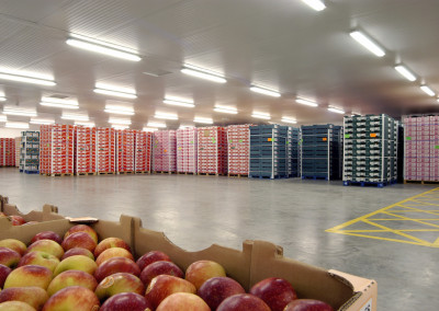 distribution-centers-3